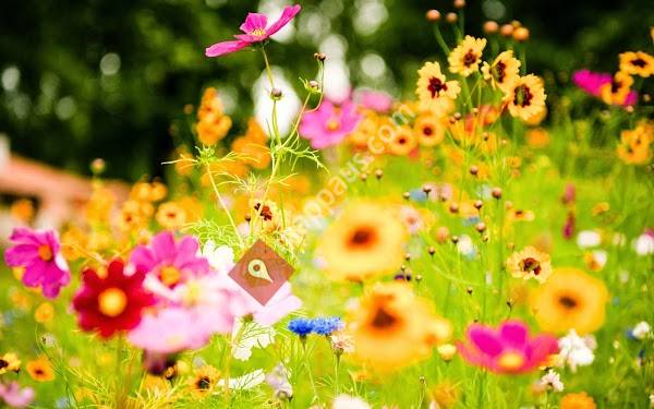 A Country Garden Early Childhood Centre