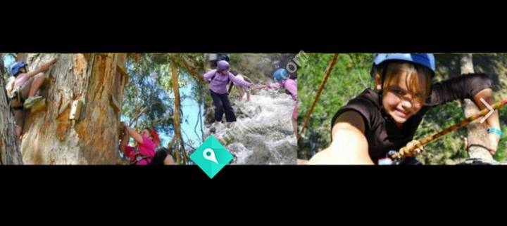 Activity Hanmer 2011 LTD