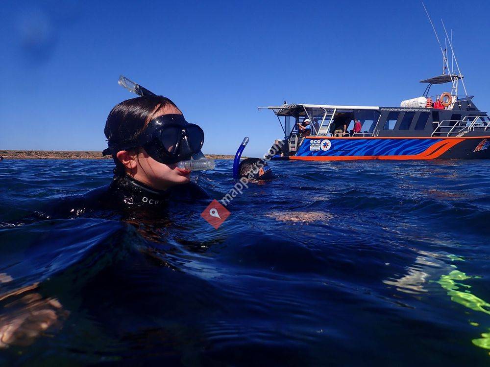 Adventure Bay Charters