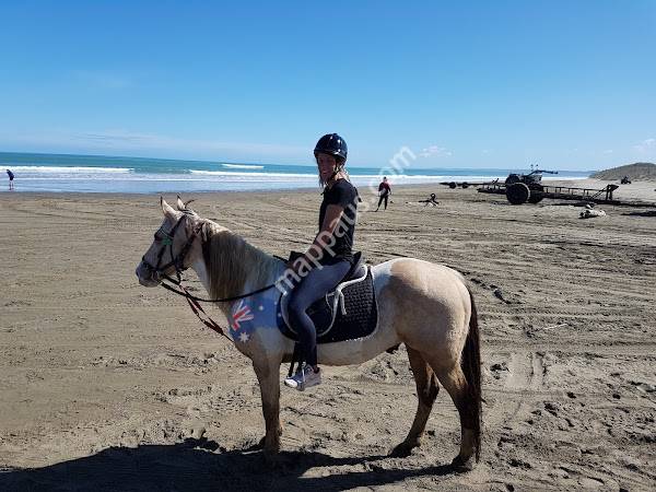 Ahipara Horse Treks