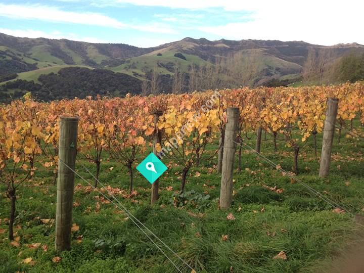 Akaroa Winery