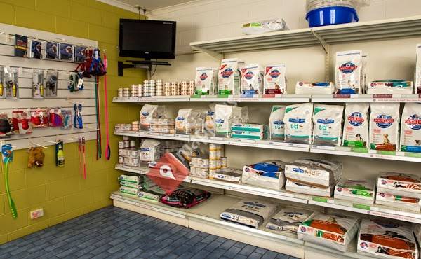 All Pets Veterinary Hospital