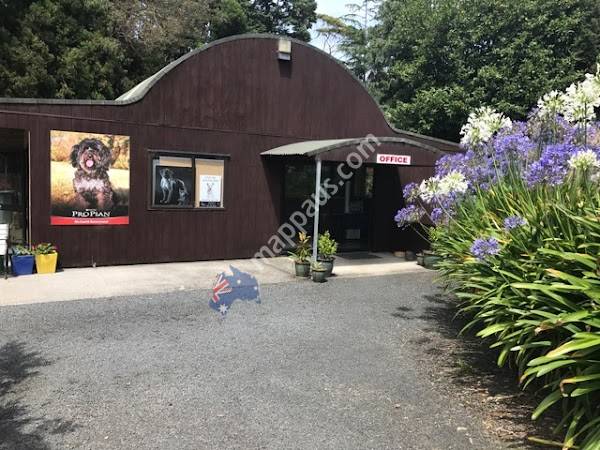 All Seasons Pet Resort / Southern Comfort Kennels