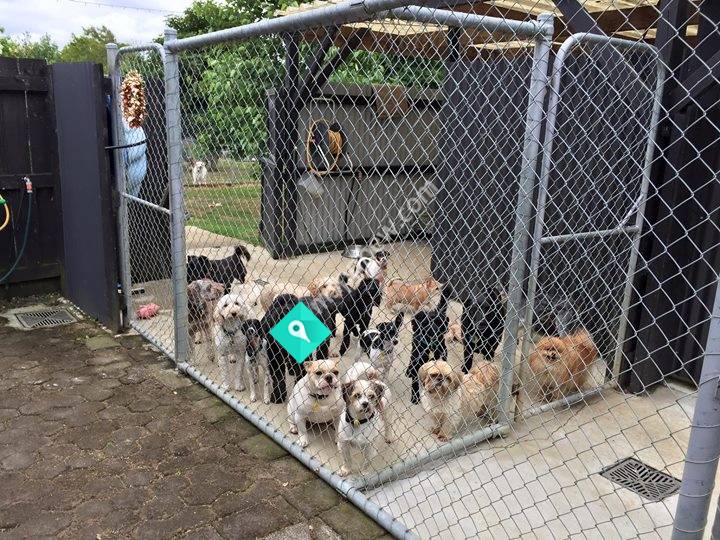 Allbreeds Paws & Claws Accommodation