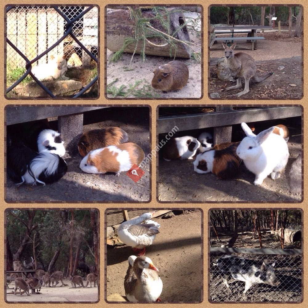 Australia Walkabout Wildlife Park