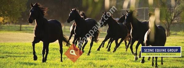 Avenel Equine Hospital