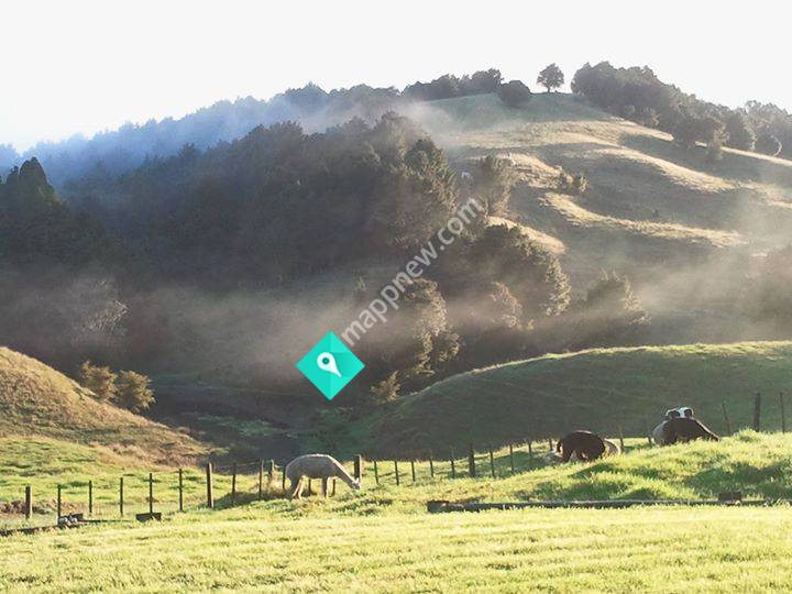 Baldrock View Farm