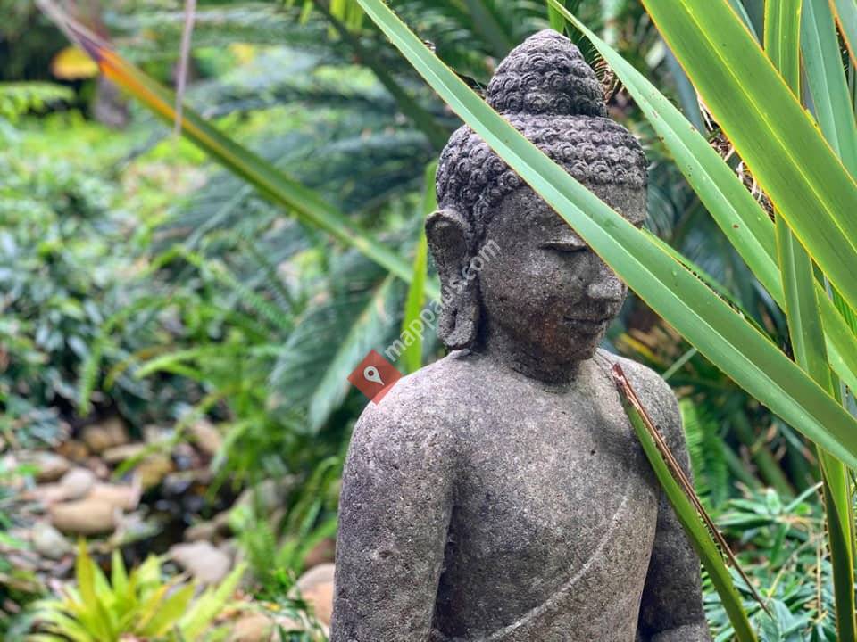 Bamboo Buddha