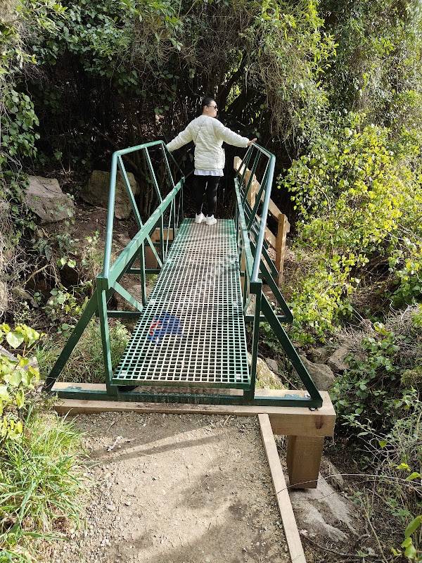 Barnett Park Walkway Track