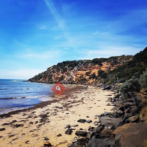 Barwon Heads & District Pony Club