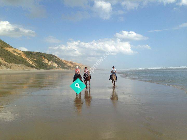 Baylys Beach Horse Treks