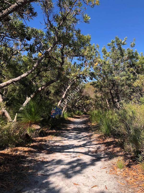 Bicentennial Walks