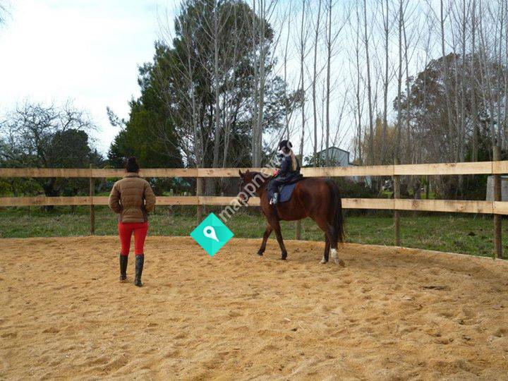 Big Sister's Riding School