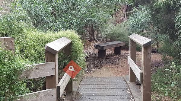 Blackburn Lake - Juby's Garden
