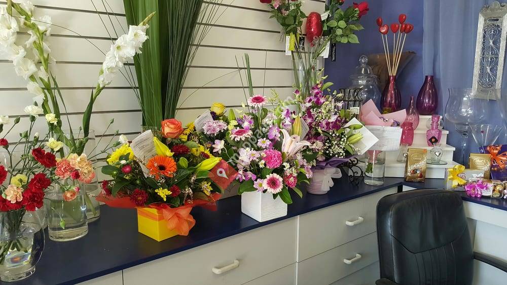 Bloomz On Central