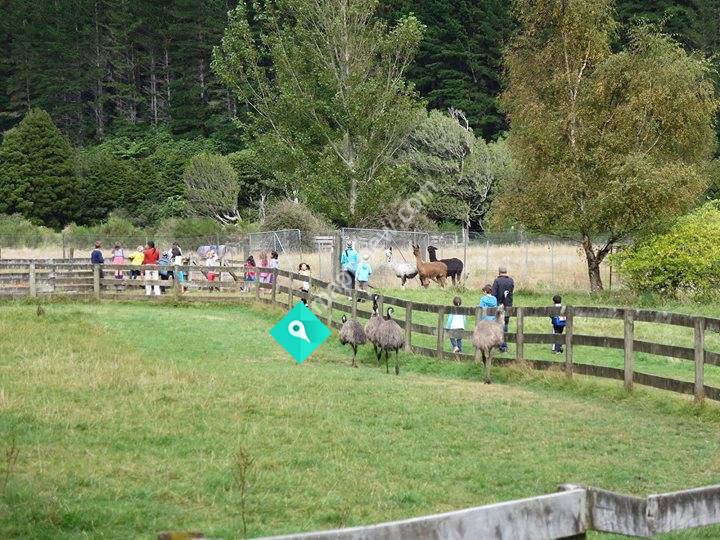 Bluebank Blueberry & Emu Farm