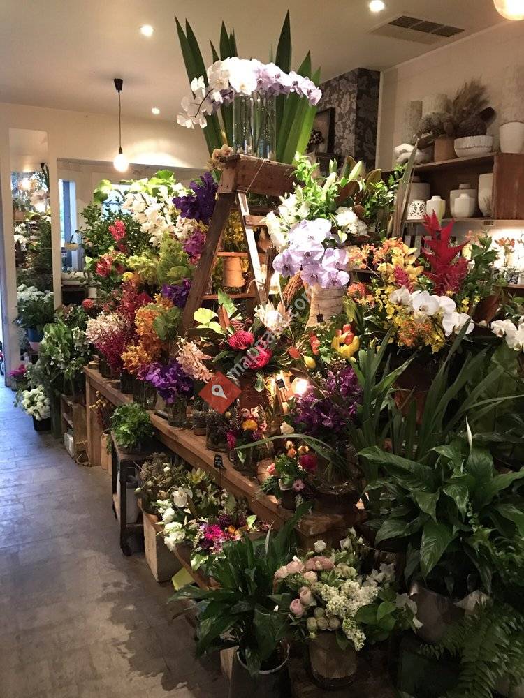 Botanics of Melbourne