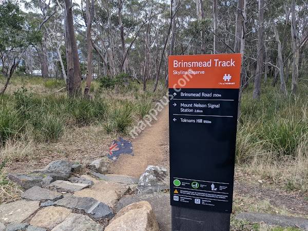 Brinsmead Track