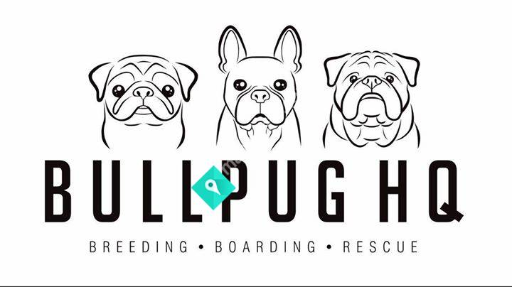 BullPug HQ