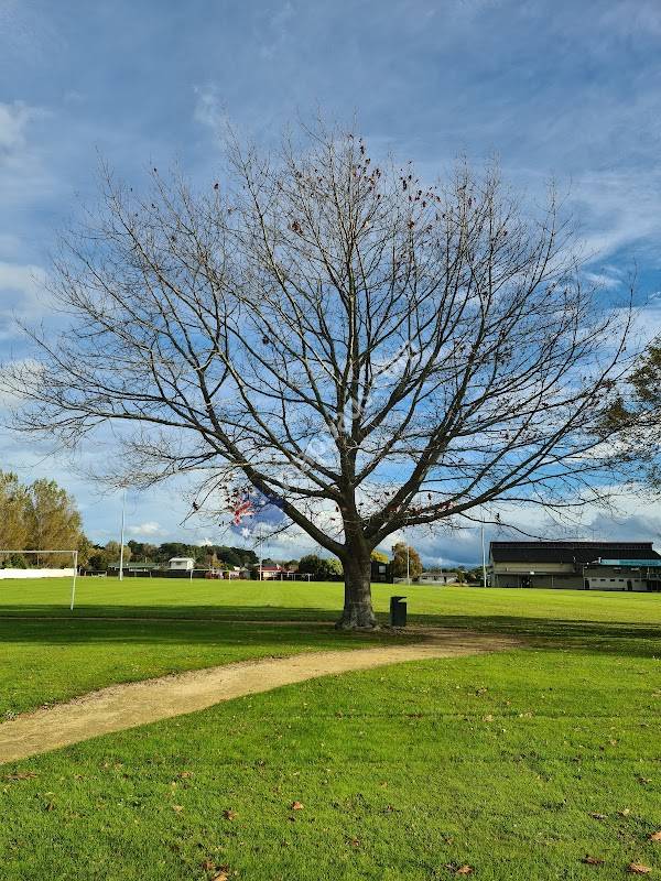 Bush Sports Park