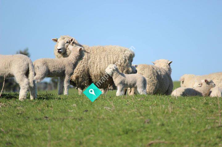 Bushbury Farms Ltd