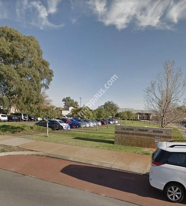 Caladenia Primary School
