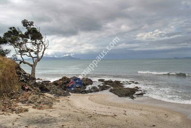 Camp Waipu Cove