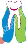 Care For Smiles Dental - Fairfied