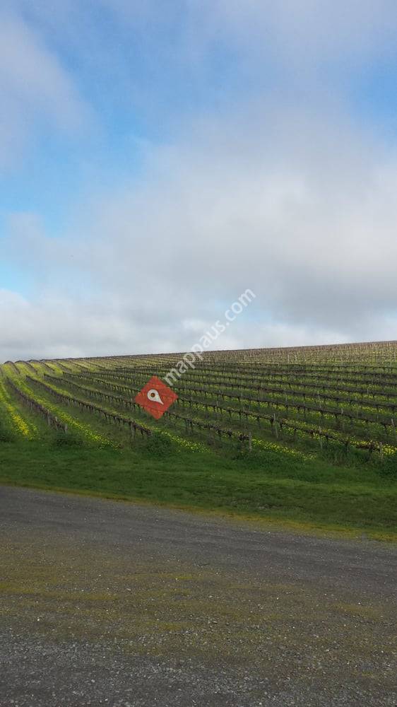 Chook's Little Winery Tours