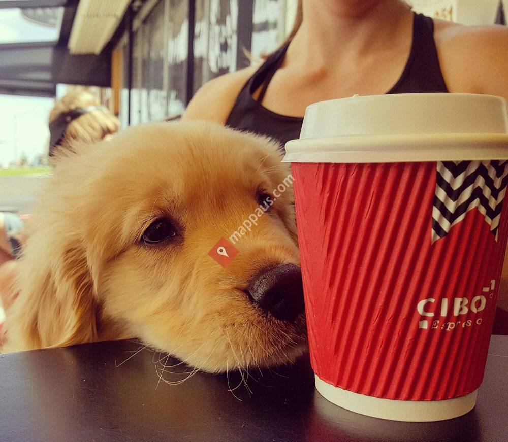 Cibo Espresso