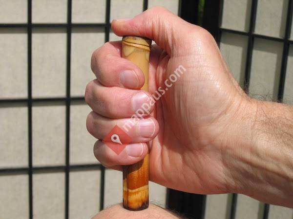 Classical Acupuncture & Oriental Medicine by Chris Bishop