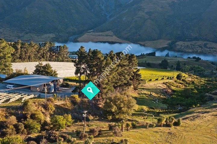 Coal Pit Vineyard & Winery