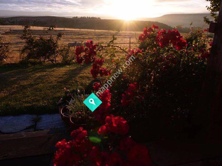 Coombes Cottage, St Bathans