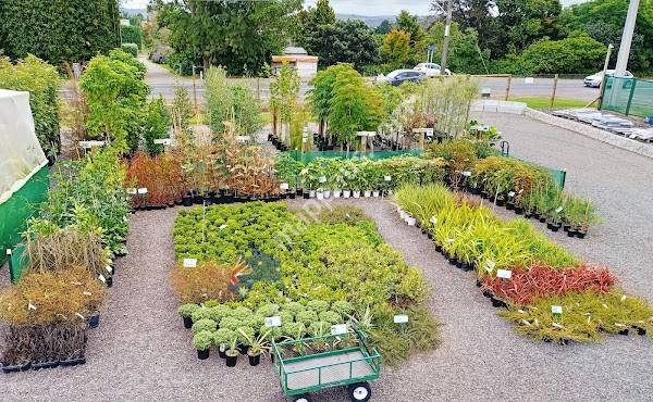 Cottle Hill Nursery