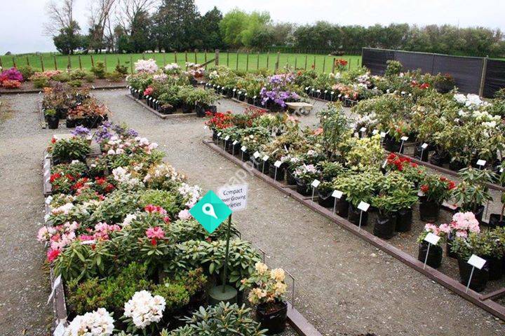 Cross Hills Gardens & Nursery