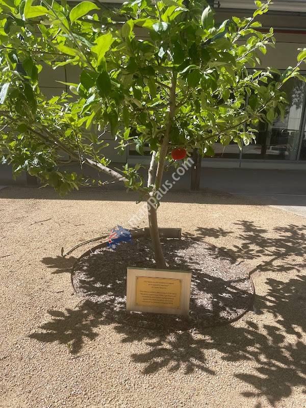 CSIRO Clayton