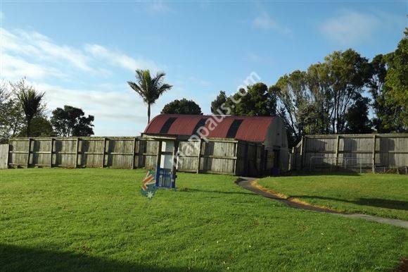 Daisy Downs For Dogs