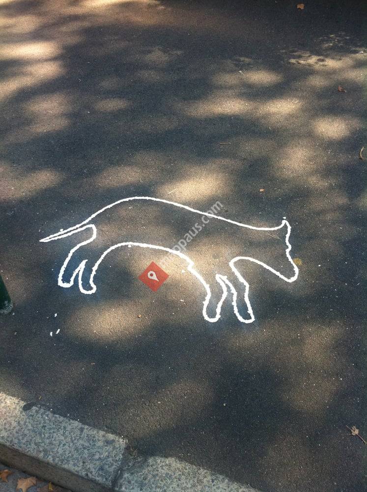 Dasher, Surry Hills Dog Memorial