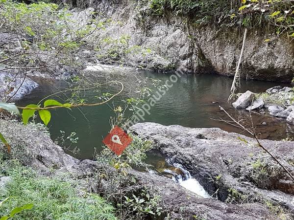 Davies Creek National Park and Dinden National Park