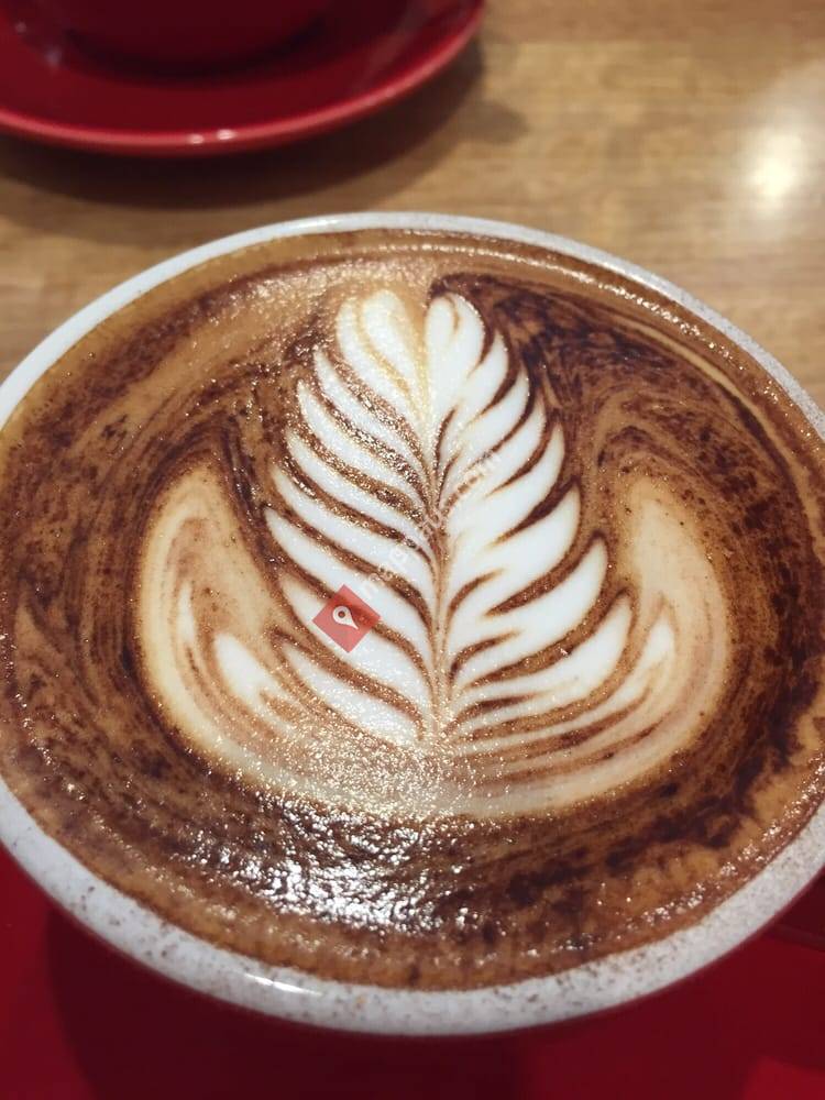 Doctor Coffee