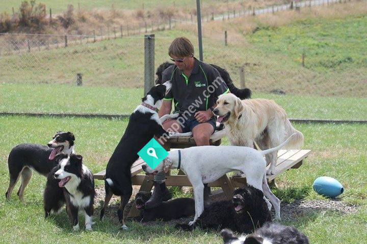 Dogs Galore Training, Daycare and Grooming