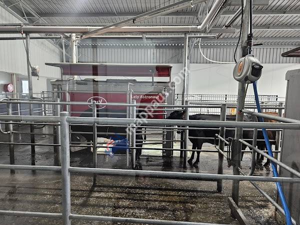 Duck River Meadows Dairy Tours
