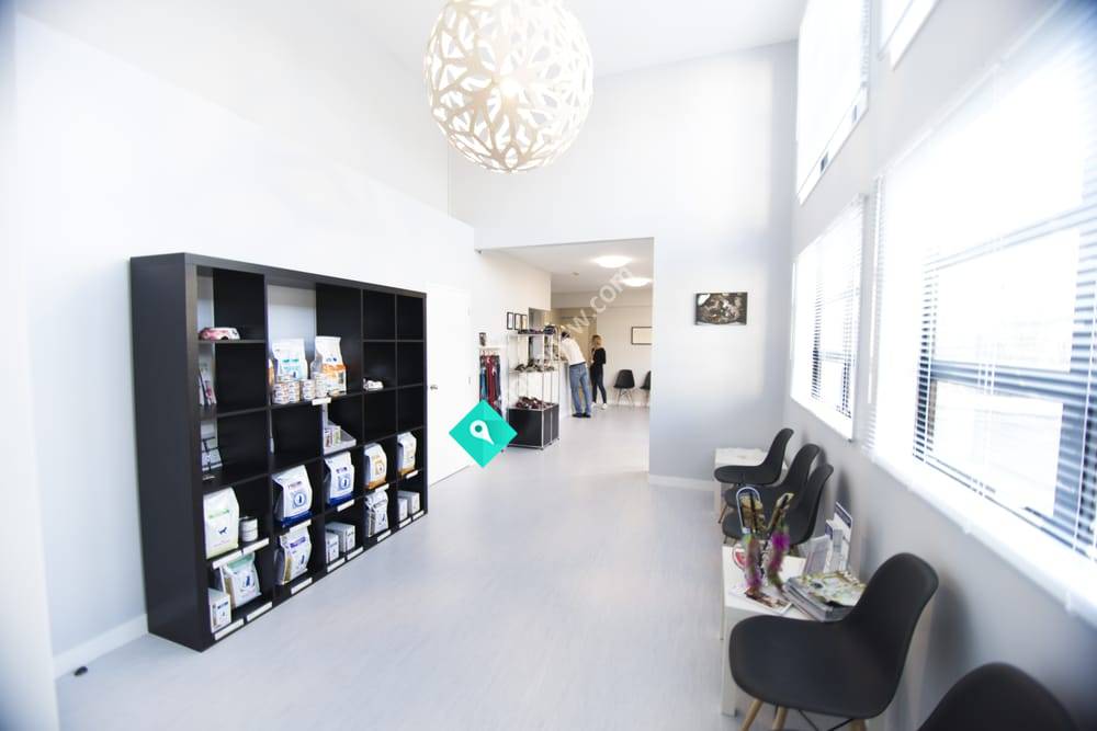 Ellerslie Veterinary Clinic & Cattery