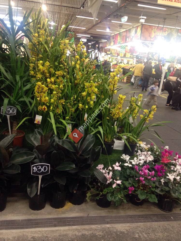 Emerald Hill Nursery