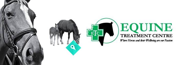 Equine Treatment Centre
