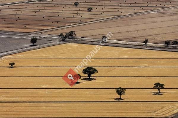 Fifty Acres