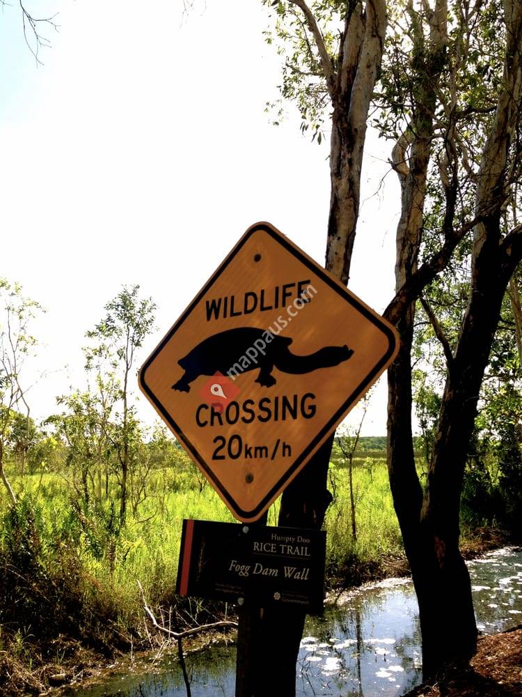 Fogg Dam Conservation Reserve