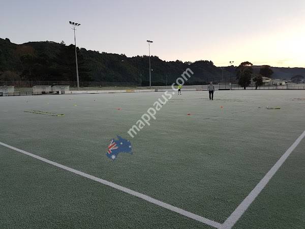 Fraser Park Hockey Turf