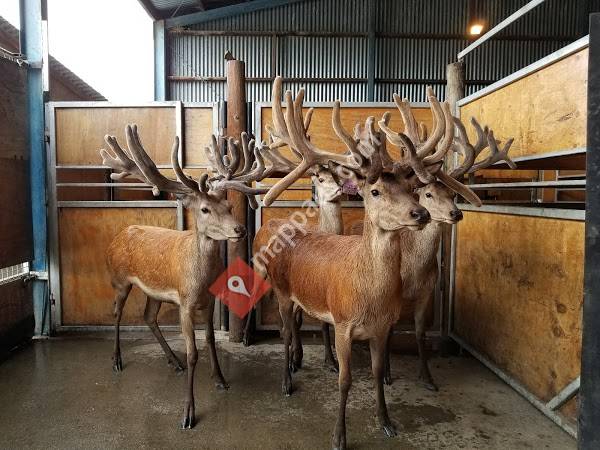 Geraldine Farm Tours