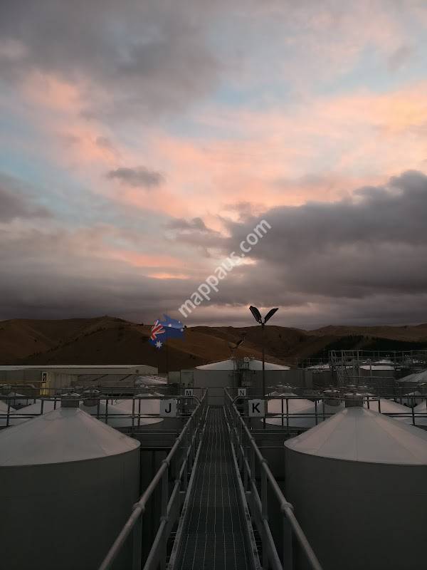 Giesen Group Winery